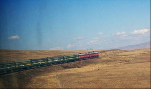 La Via dell'Ulivo incontra la Via della Seta 