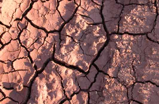 'Terra Nera', di Giuse Alemanno