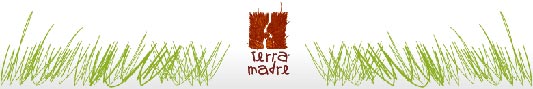 Terra Madre 2008