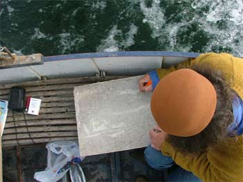 «Radio Egnatia», il lungo viaggio delle culture migranti