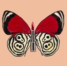 Donne del Mediterraneo. Un passo avanti e due indietro