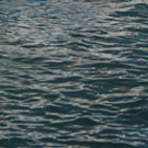 I Porti del Mediterraneo, diario di bordo di artisti e scrittori