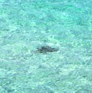 Le città di Arco Latino