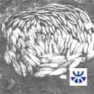 Inchiesta n°4: Creazioni meticcie