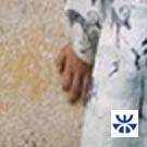 Inchiesta n°4: Creazioni meticcie