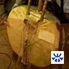 Inchiesta n°4: Creazioni meticcie