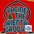 Inchiesta n°4: Creazioni meticcie