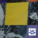 Inchiesta n°4: Creazioni meticcie