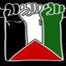 Vittorio Arrigoni, 1975 - 2011