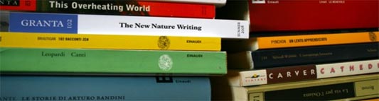 Seminario estivo di traduzione letteraria a Vicenza