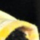 Dossier: Diario di un volontario Arci a Lampedusa (23 – 30 agosto 2011)