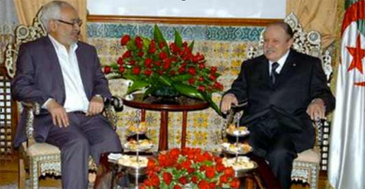 Algeria. Il gioco del gatto e del topo