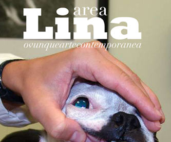 Suburbia, Bill Owens inaugura Area Lina