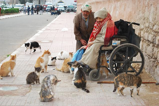 //© Annamaria Rivera