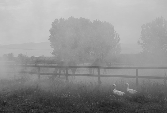 //Mosummanno Terme, all'Agriturismo Il Bottaccino