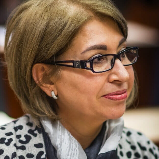 Suzan Aref | EFI - EuroMed Feminist Initiative