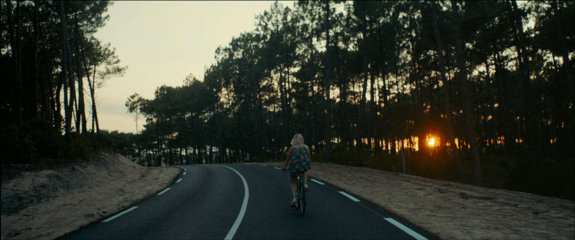 DE L'OR POUR LES CHIENS