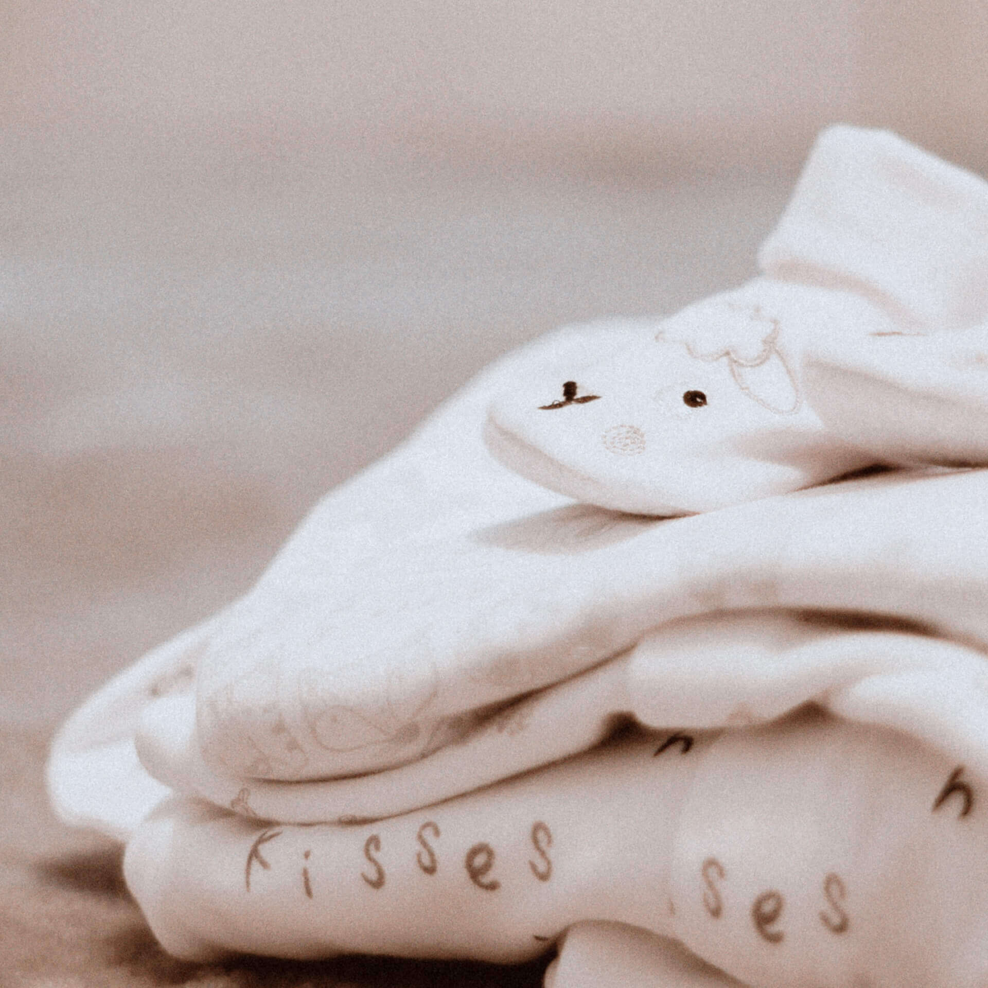 Un petit bagage d'amour