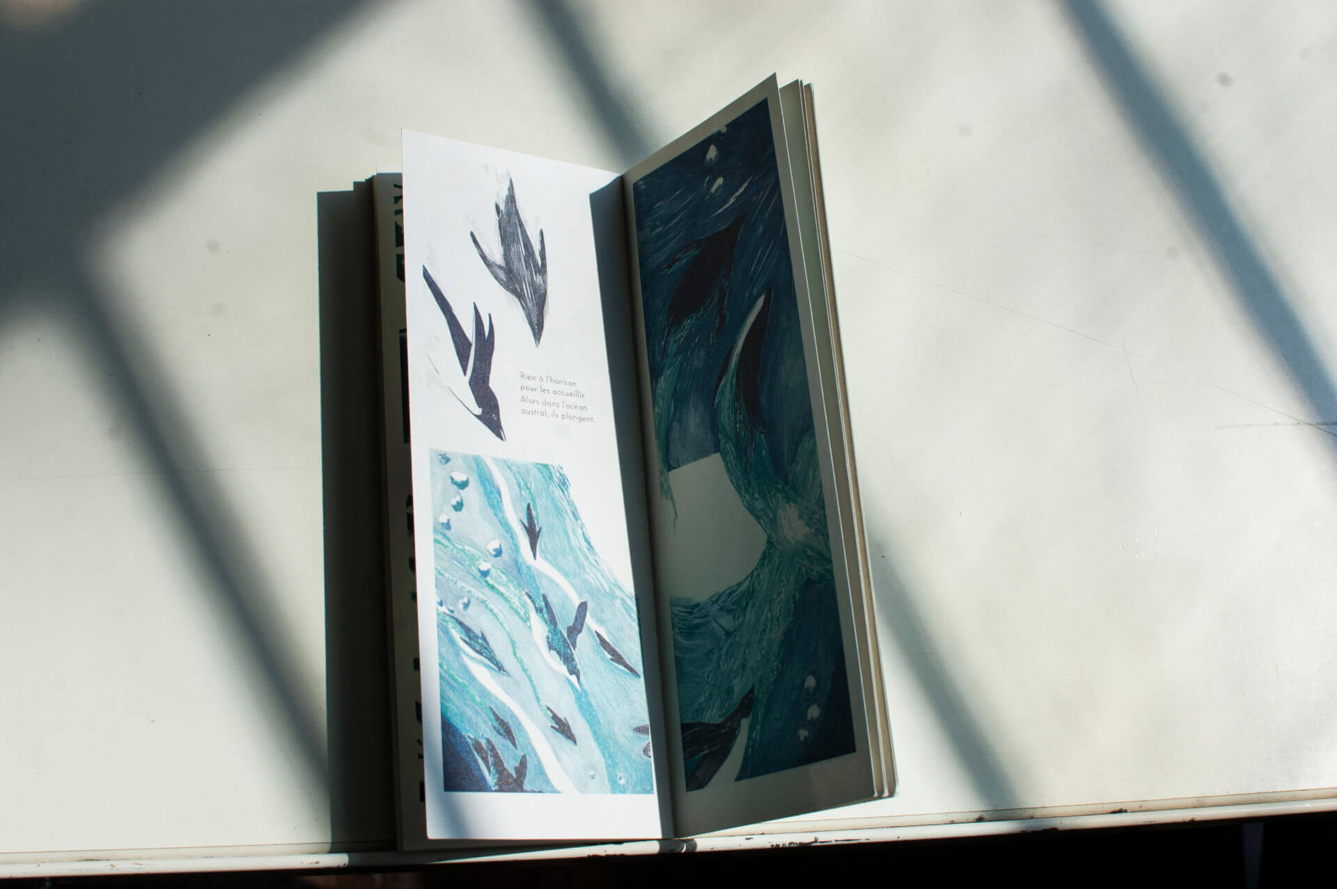 Battre les ailes autant qu’il le faut | Éléonore Scardoni