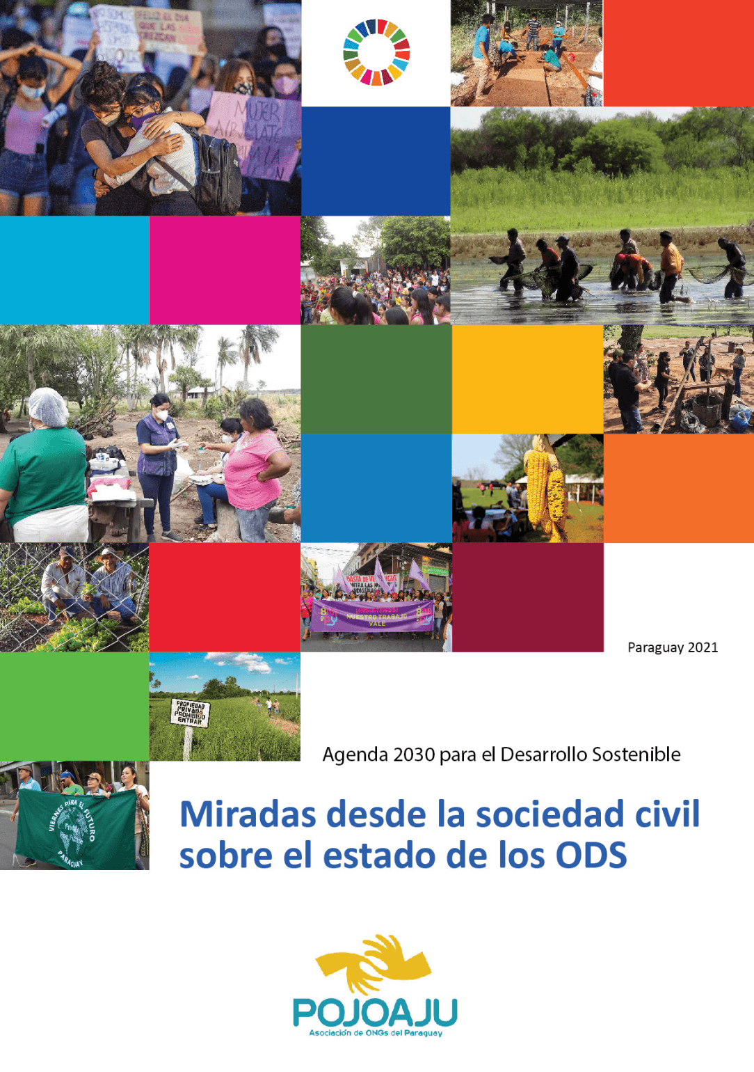 Informe - Miradas desde la sociedad civil sobre el estado de los ODS en Paraguay | Forus