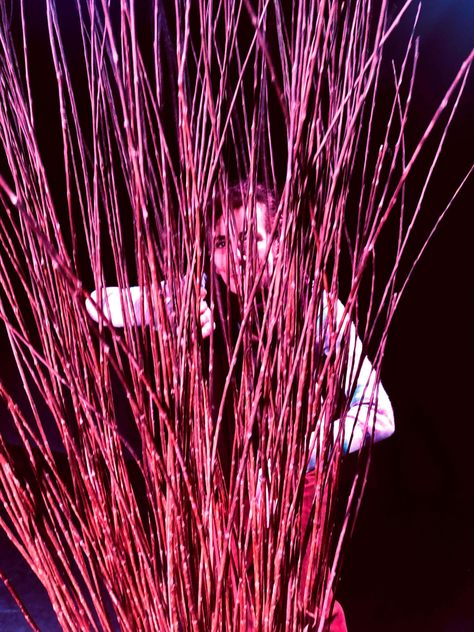 A L'OREE DU BOIS | Théâtre Marie-Jeanne