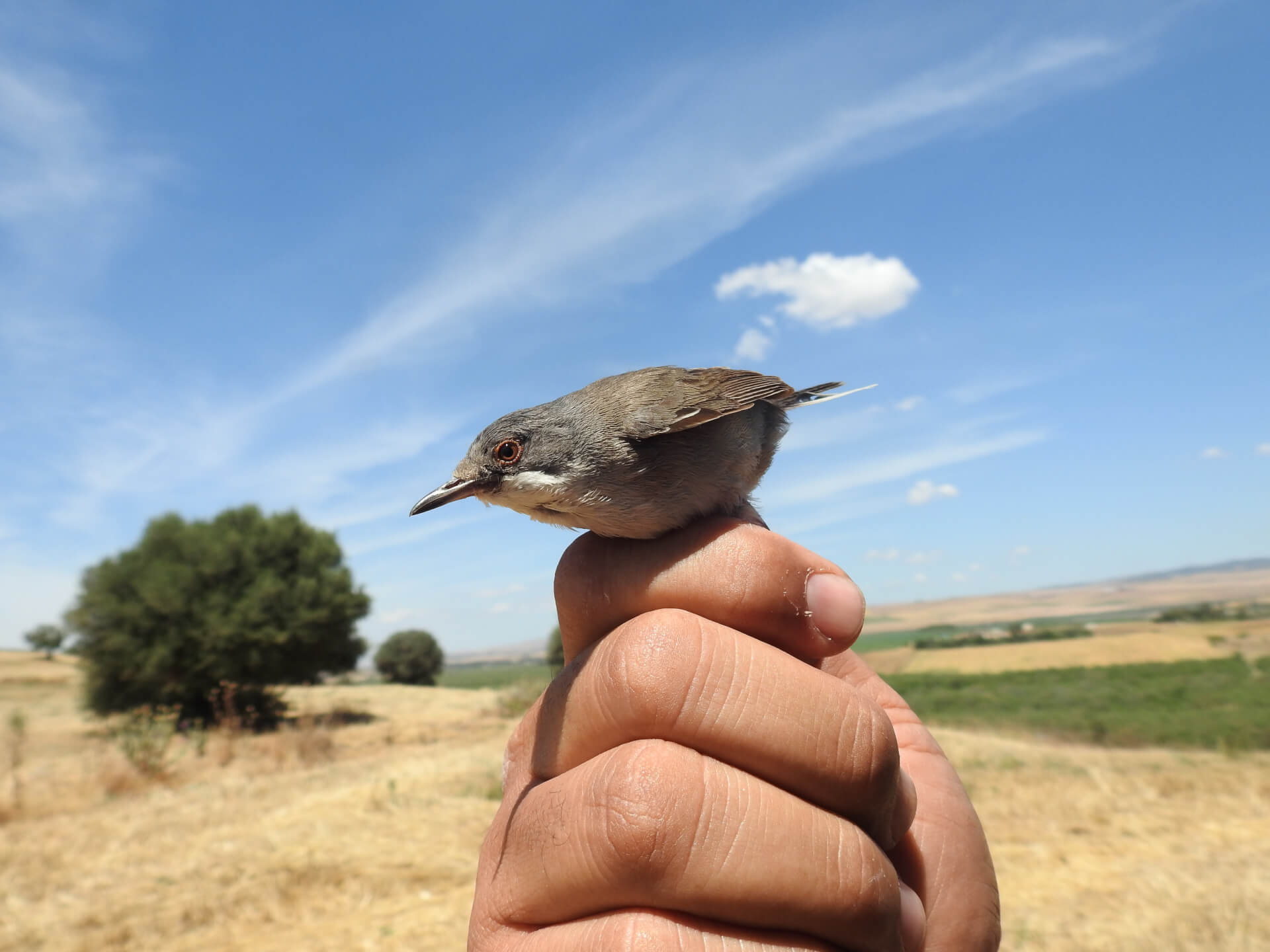 Exploralis au secours des trésors cachés de la rivière Medjerda en Tunisie | Babelmed