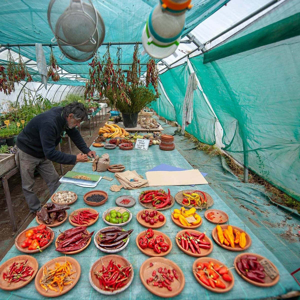 Le Potager d'un Curieux | Vivant·e !