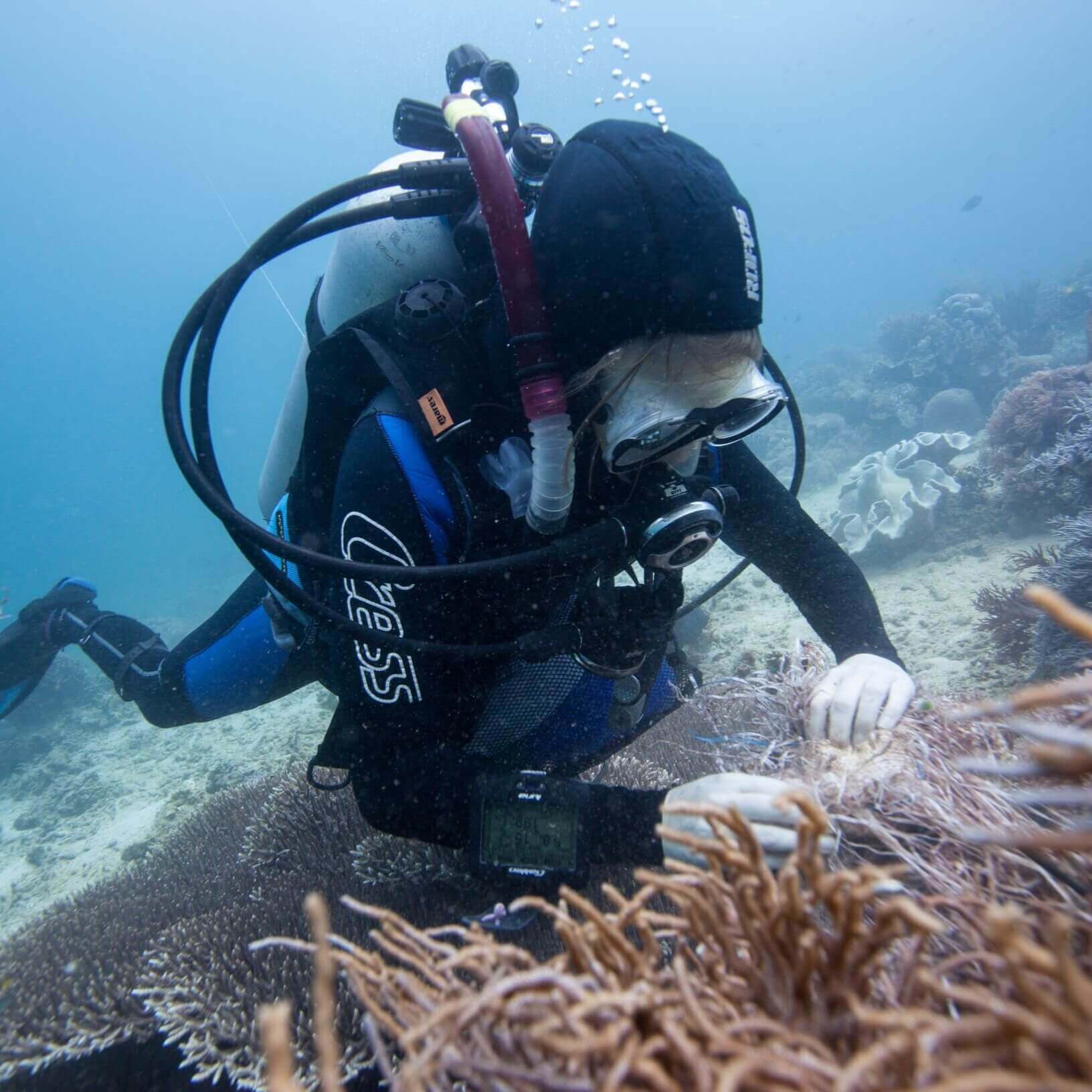 Hanna Kuhfuss | Cenote