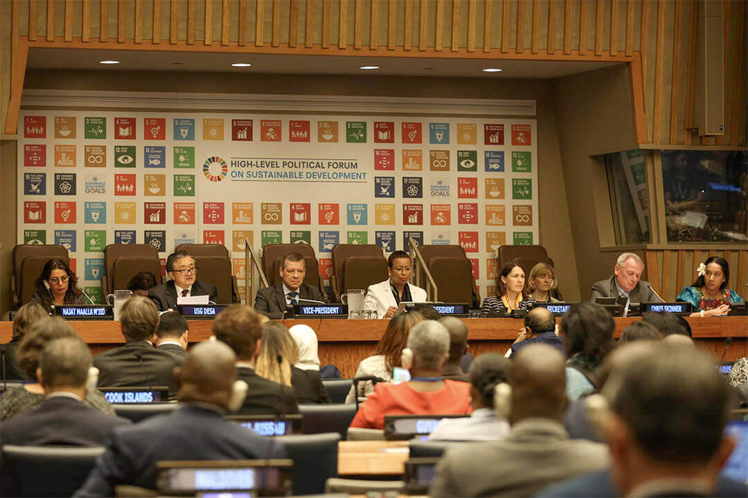 NGO Coalition Identifies Trends in National SDG Reporting | News | SDG Knowledge Hub | IISD | Forus