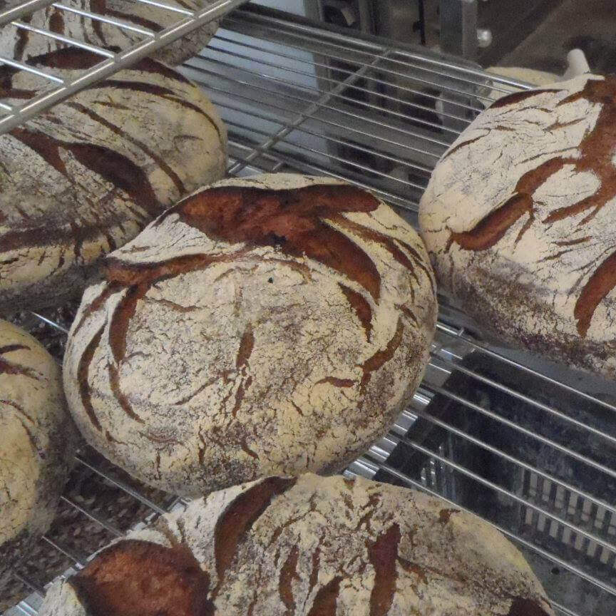 Haut les Pains ! | Vivant·e !