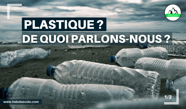 Quelles solutions contre la pollution  plastique ? | HEBDO ECOLO