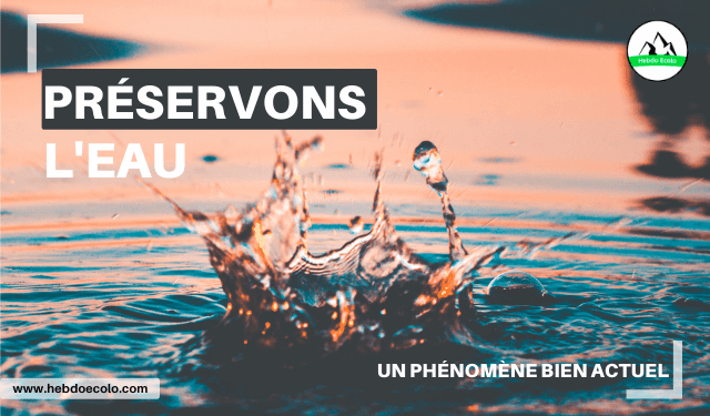 Pollution de l'eau, quels impacts et comment la limiter ? | HEBDO ECOLO