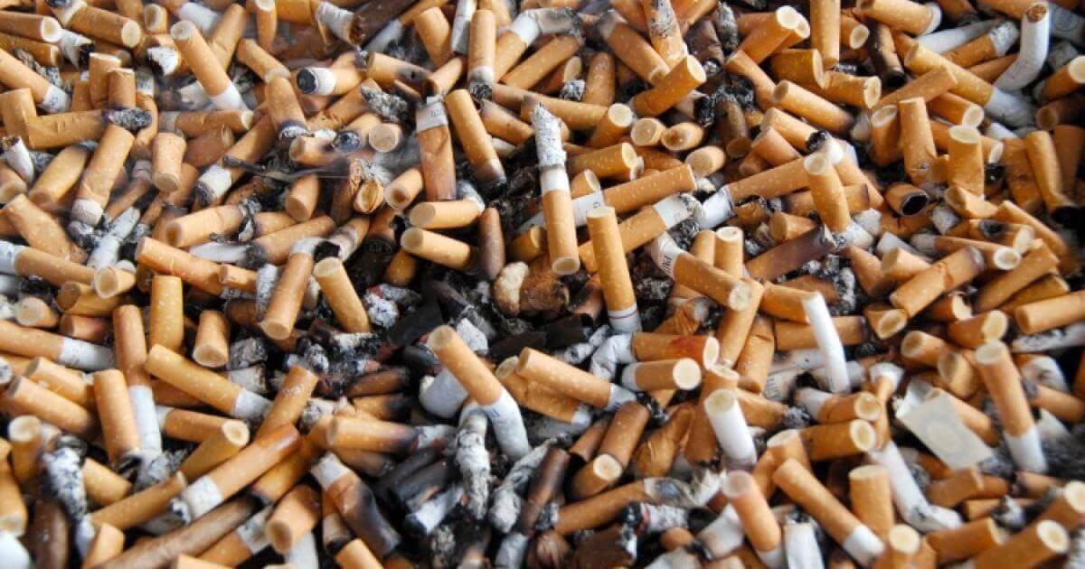 Hebdo Ecolo, l’asso qui a ramassé cinq kilomètres de mégots en cinq mois | Carenews INFO | HEBDO ECOLO