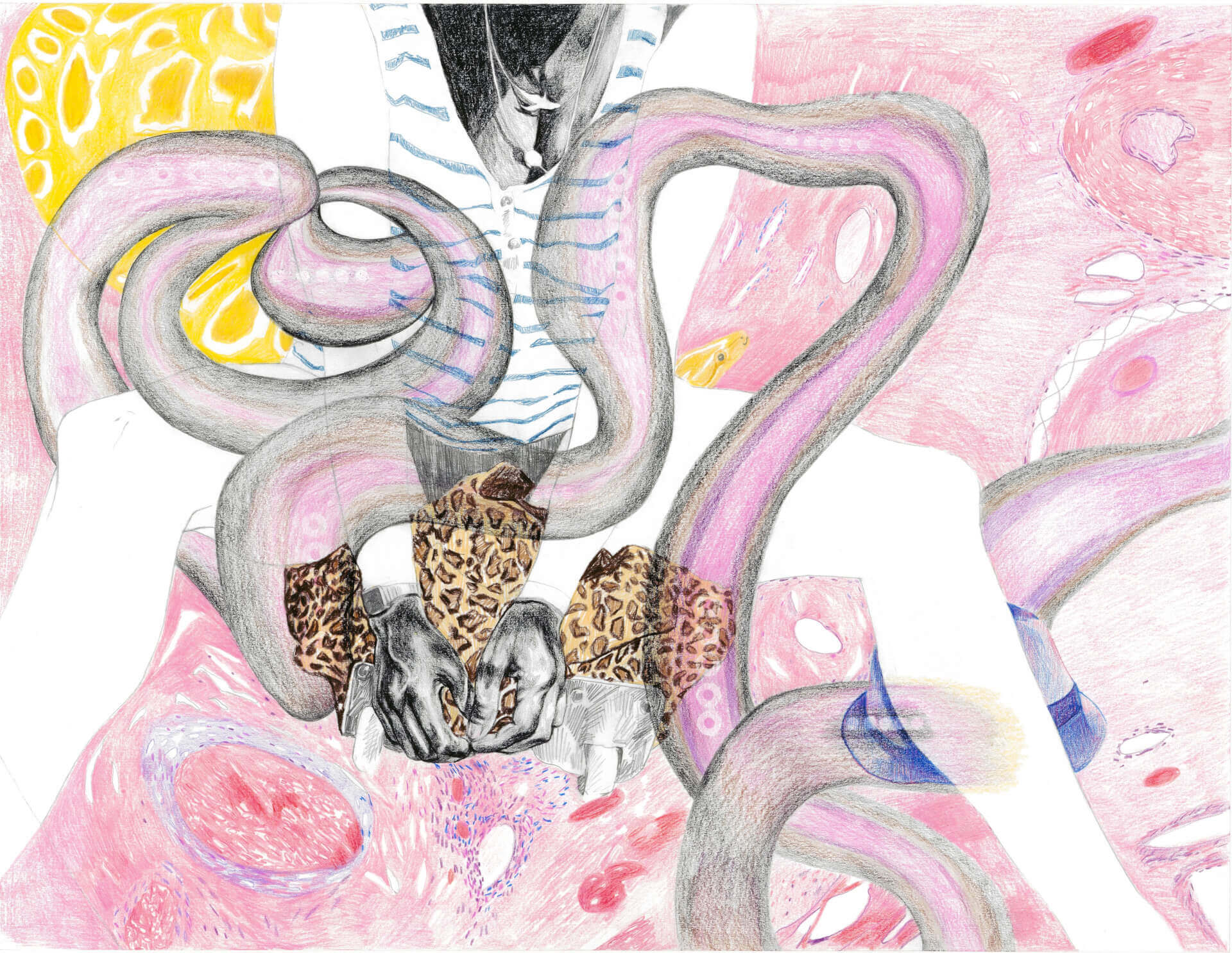 Share | Amandine Levy / Lesay