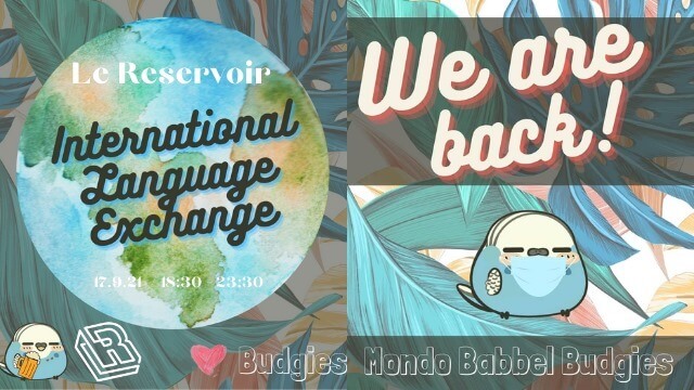 Le Reservoir invite Budgies Night | Le Reservoir Bar