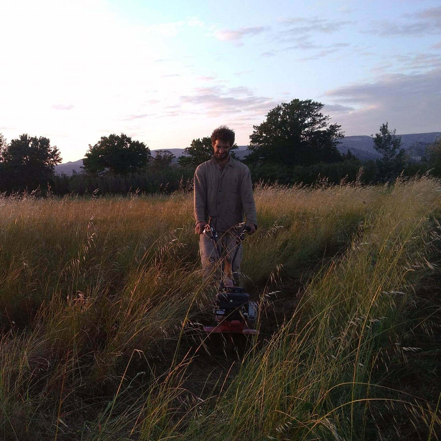 Les Plantations de Maya | Vivant·e !