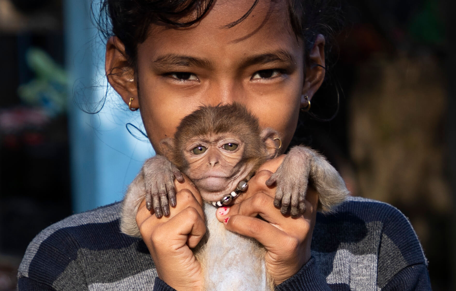 Chitwan sathi | Both Nomads