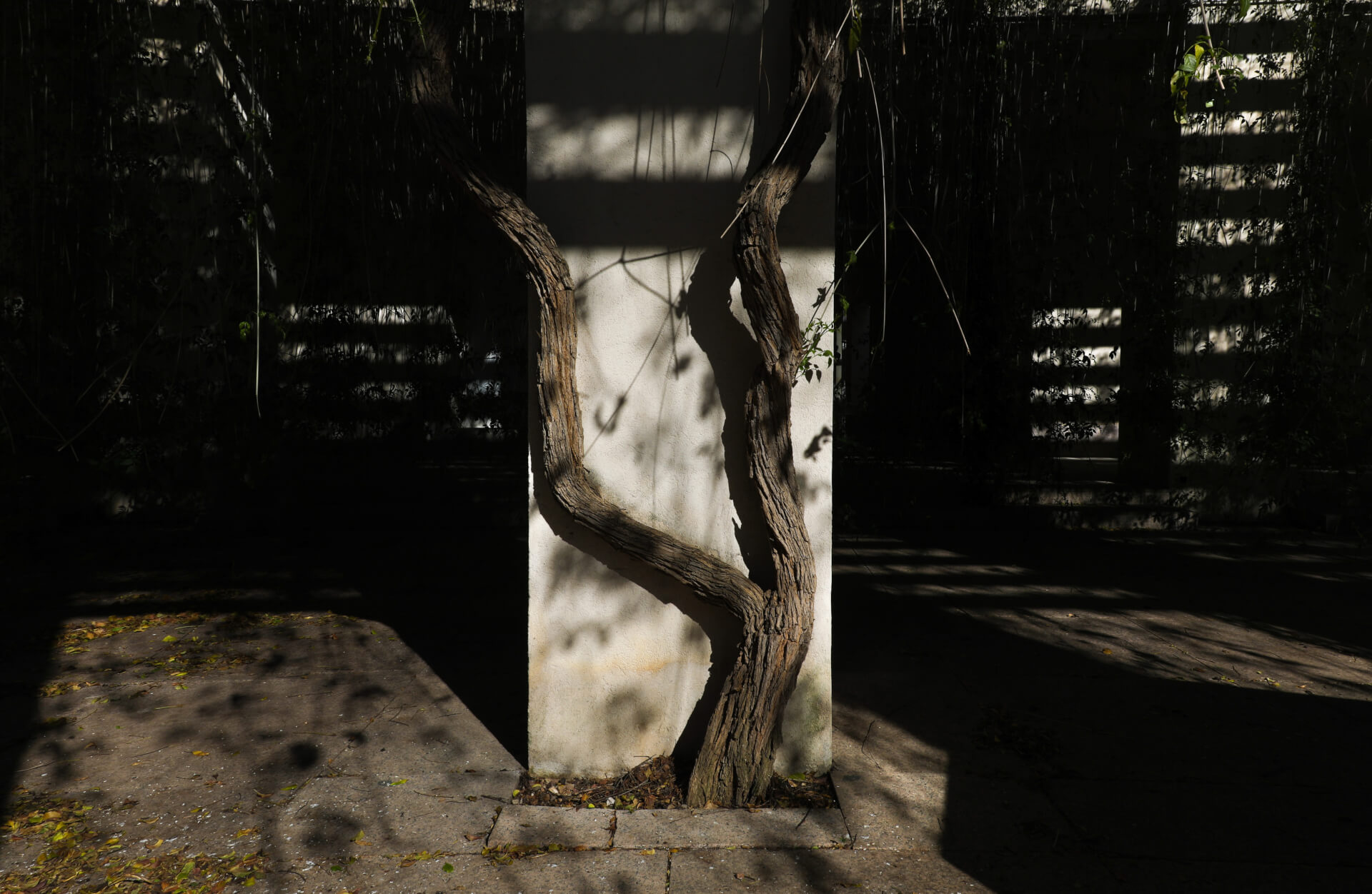 Sevilla | Both Nomads