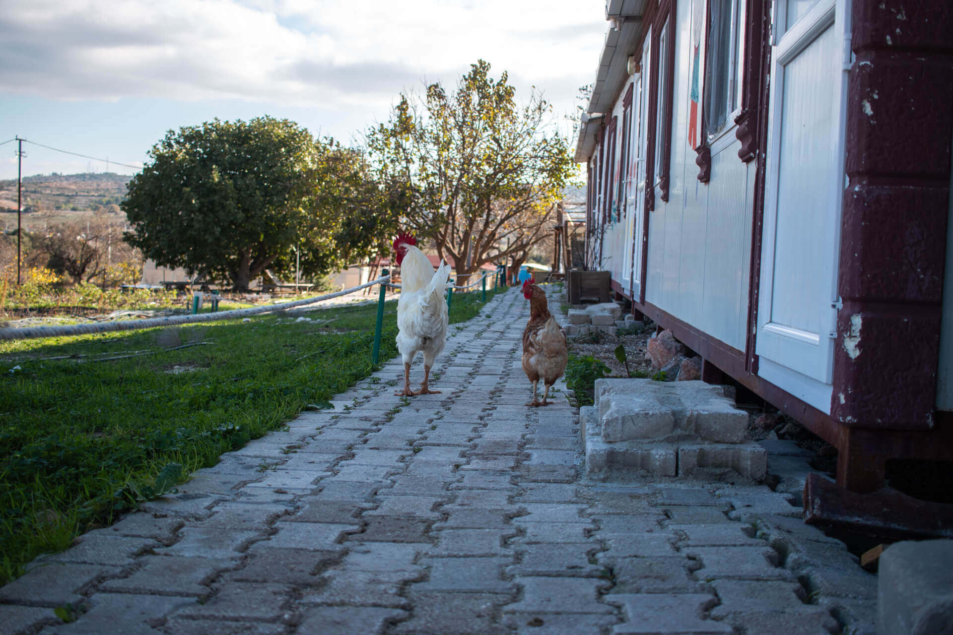 The Imece Village | Imece Inisiyatifi