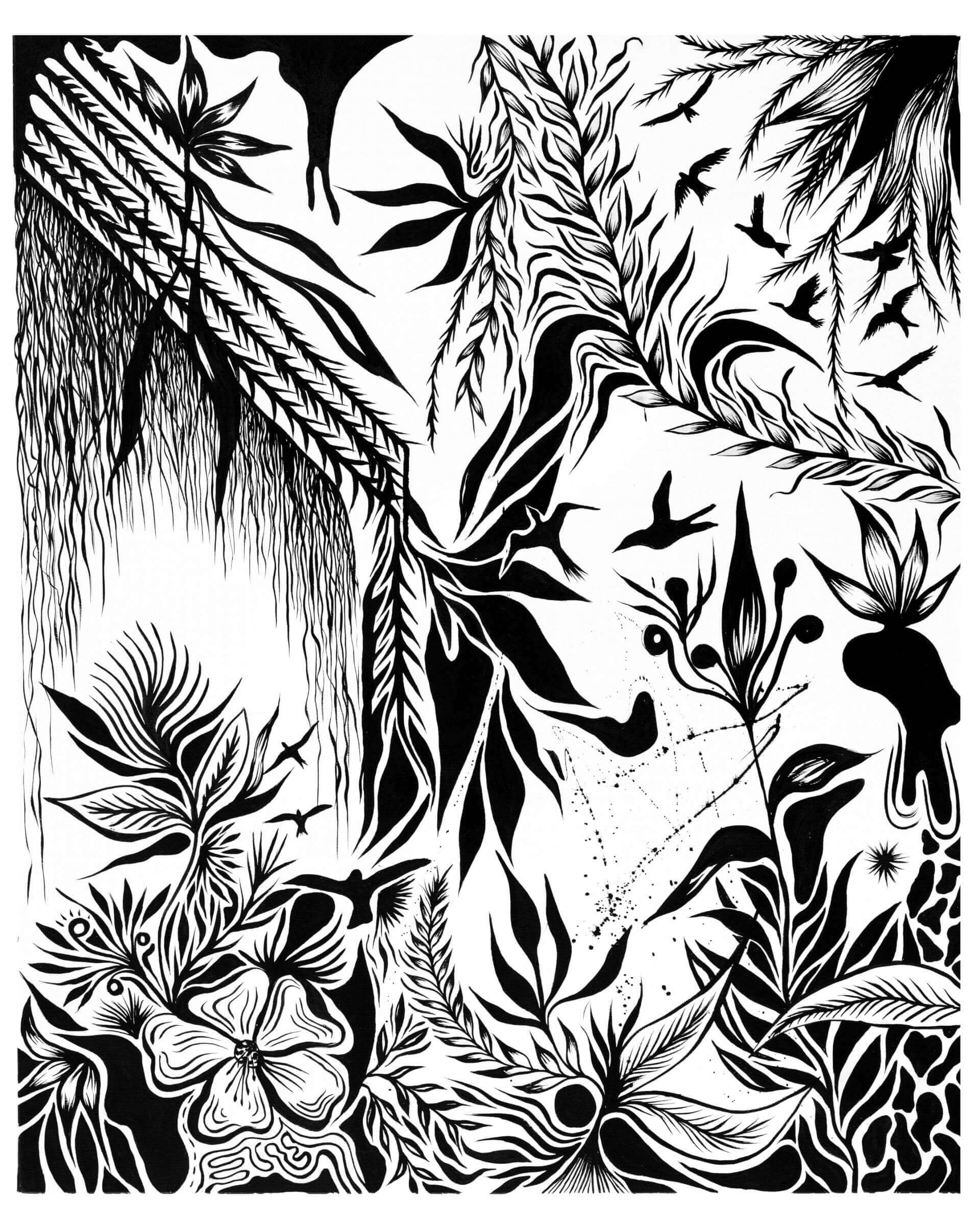 AWA La lumière | Liana Perez