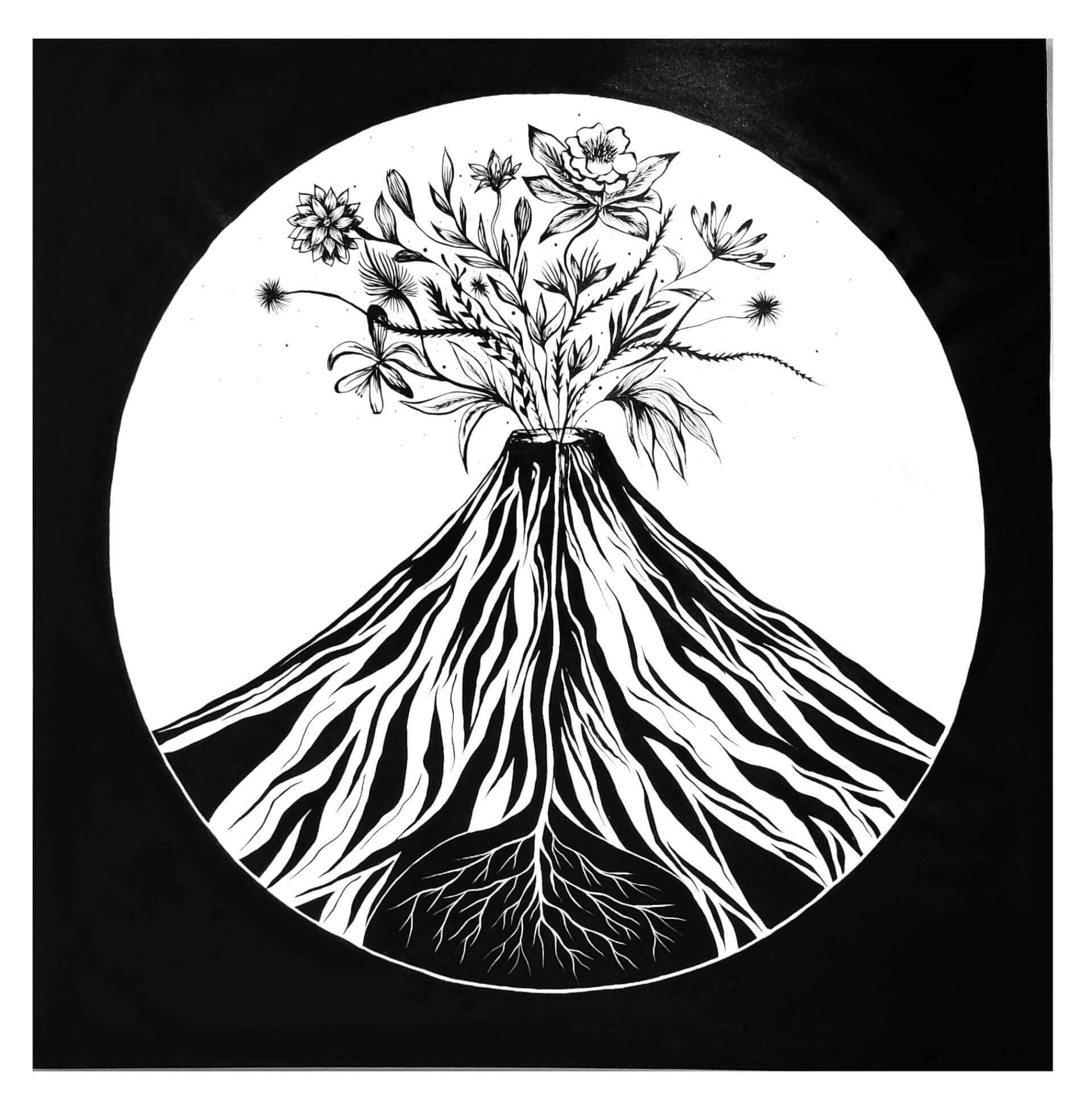 Eruption | Liana Perez