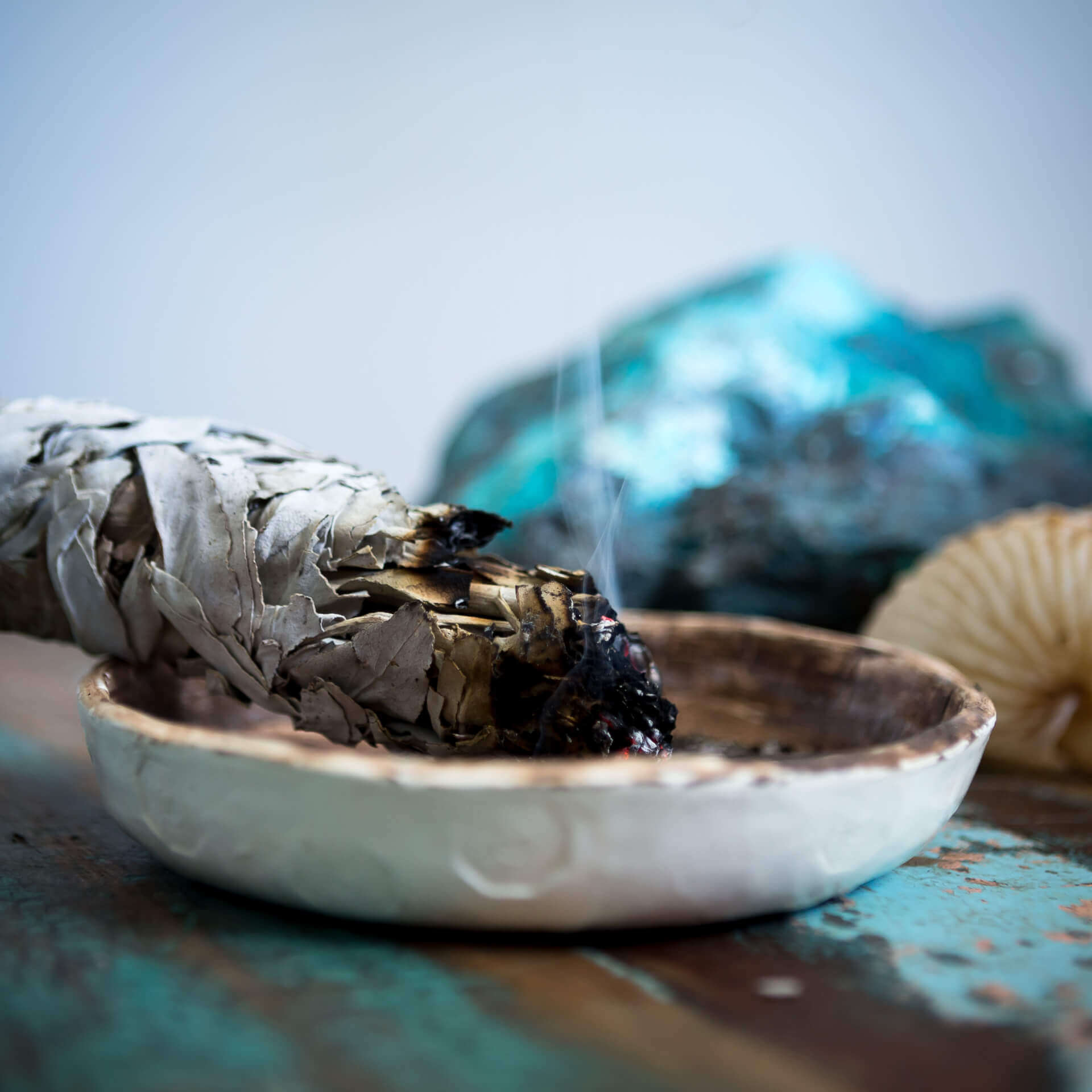 FFSEG - Fédération Française de Synergie Énérgétique Gundhra