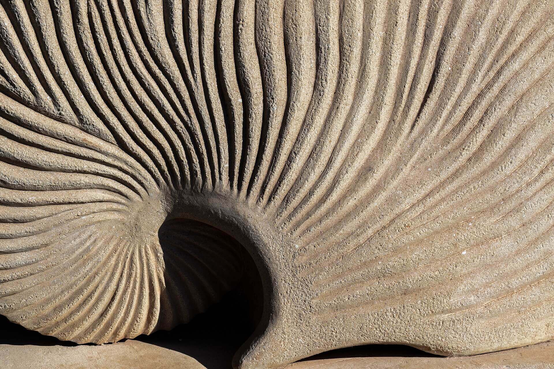 20. L’ÉTOILE DE MER | FFSEG - Fédération Française de Synergie Énérgétique Gundhra