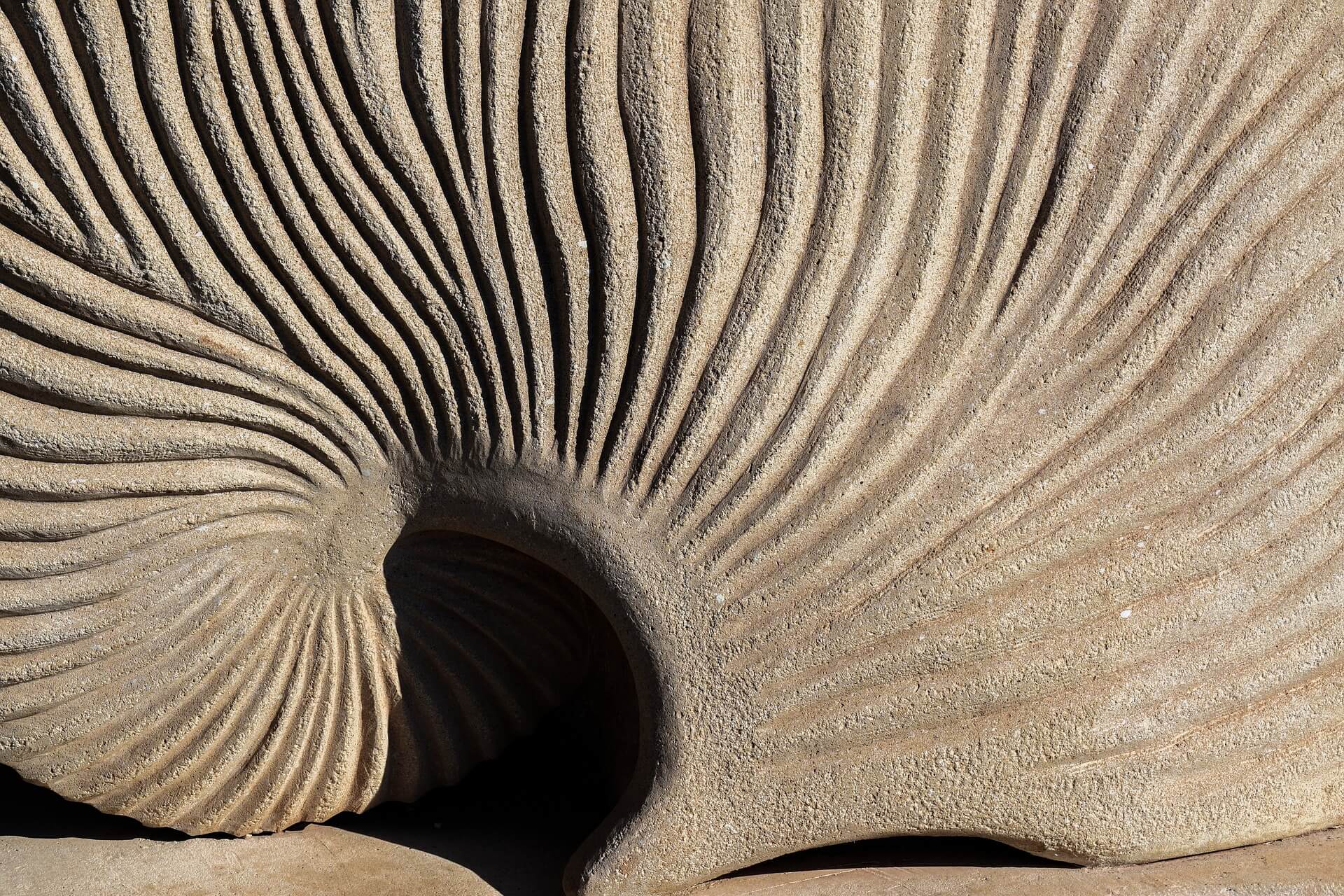 8. LA CONSCIENCE UNIVERSELLE | FFSEG - Fédération Française de Synergie Énérgétique Gundhra