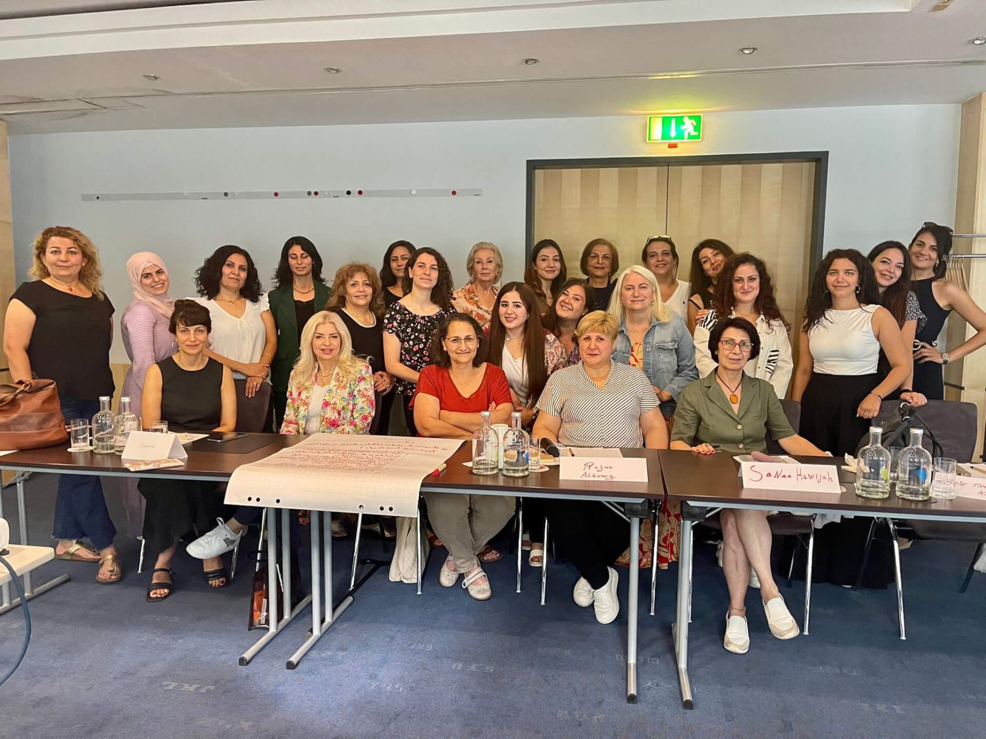 Consultation on the Common Agenda for Combating VAWG | EFI - EuroMed Feminist Initiative