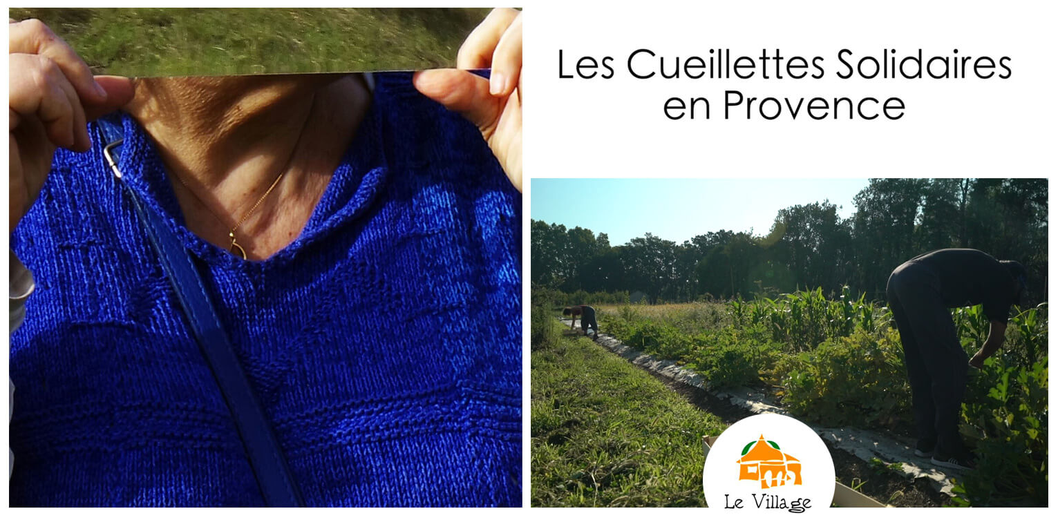 Expo/conf sur les cueillettes collectives et solidaires | Vivant·e !