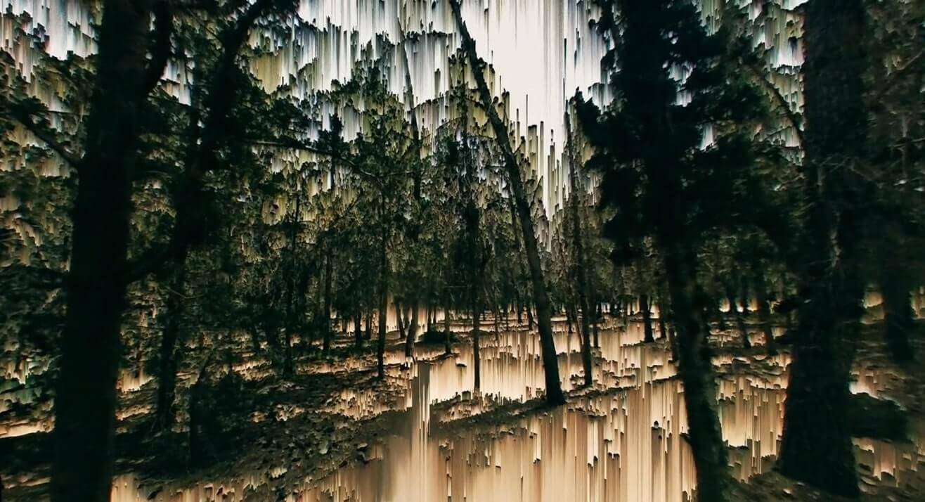 Canada Park | Festival Ciné-Palestine - FCP