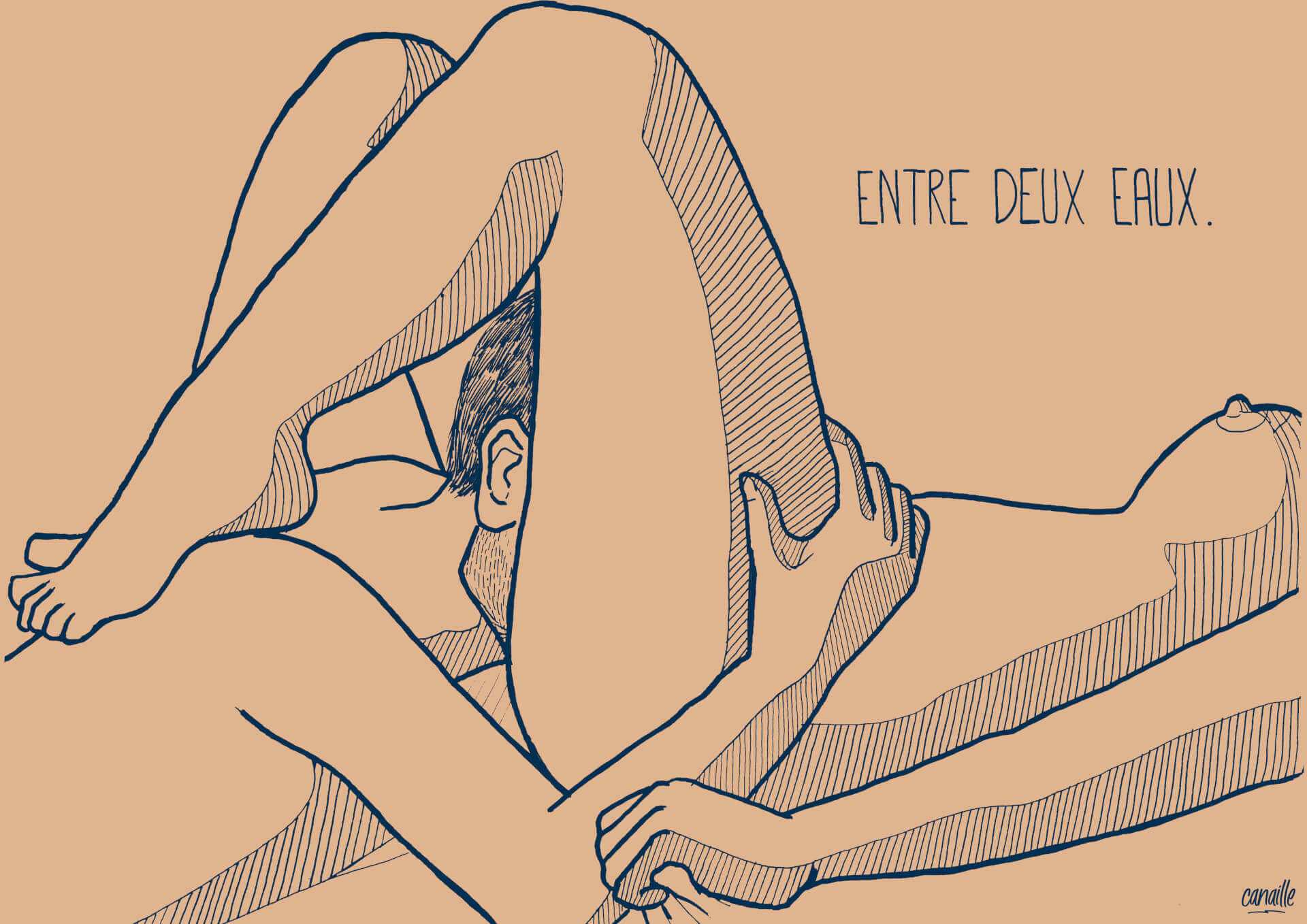 Entre deux eaux | Canaille Illustration