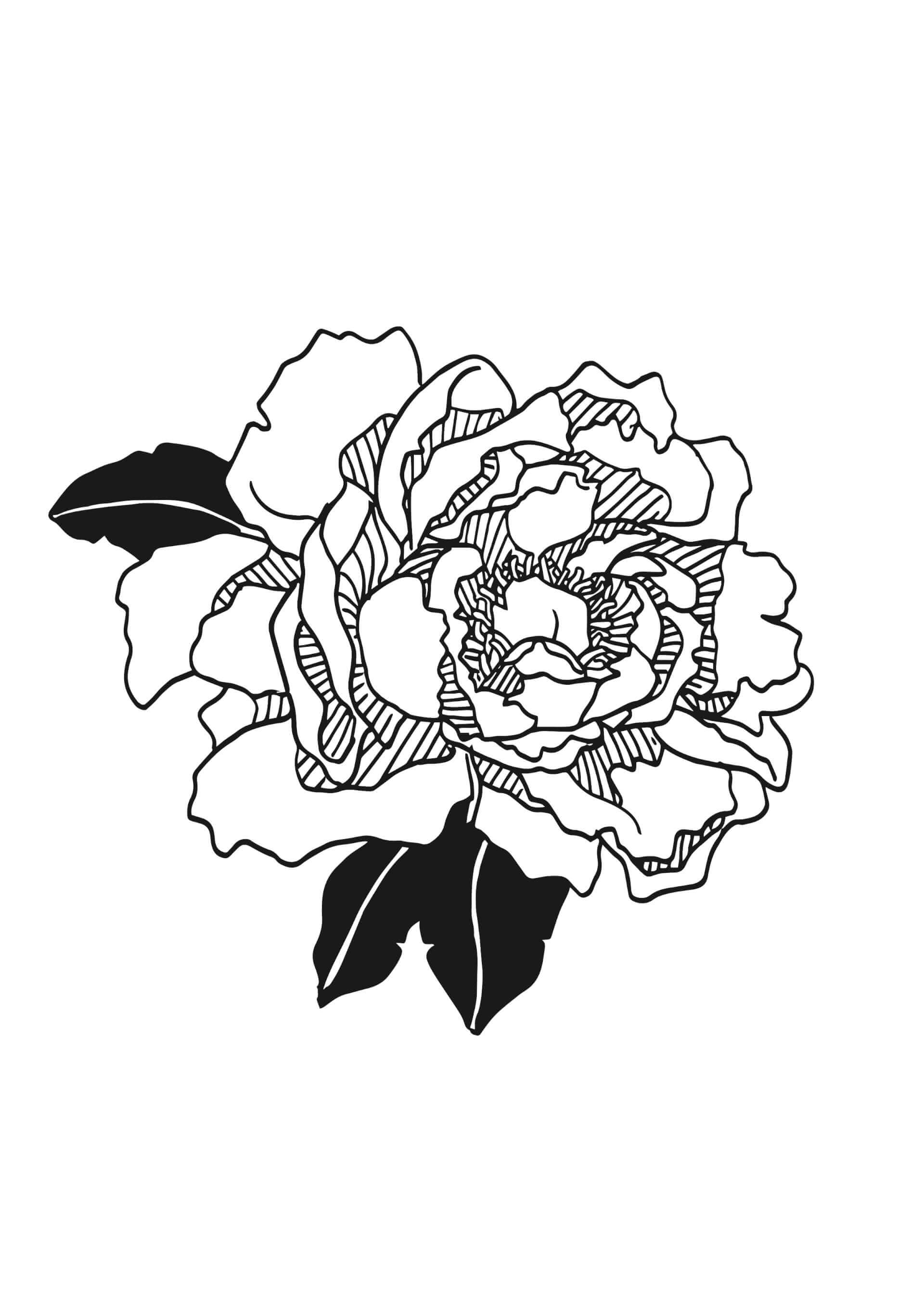 Tattoos - Peony | Canaille Illustration