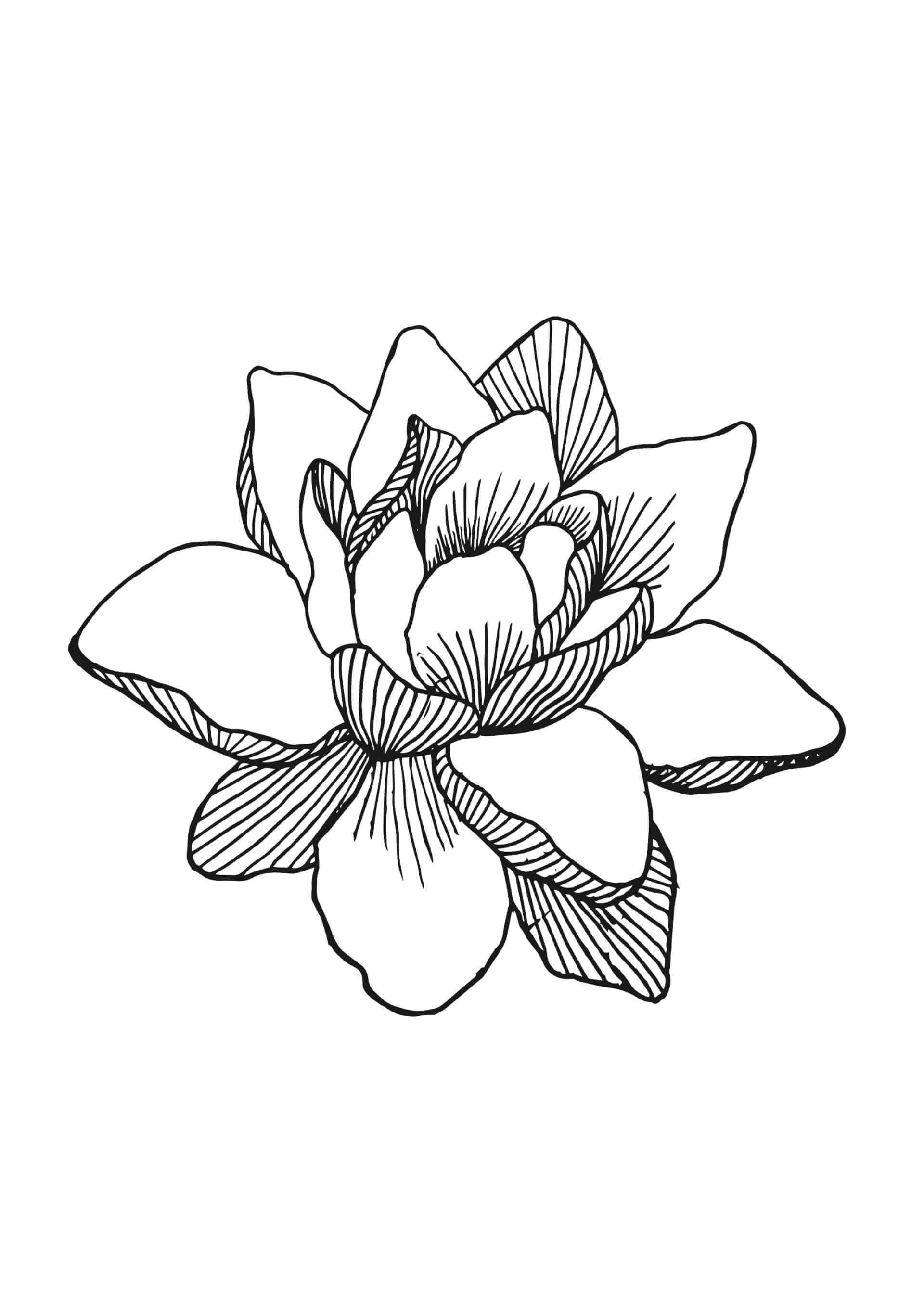 Tattoos - fleur | Canaille Illustration